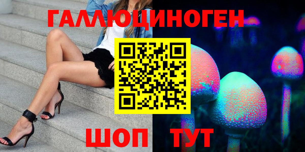 Галлюциногенные грибы Psilocybe Асино